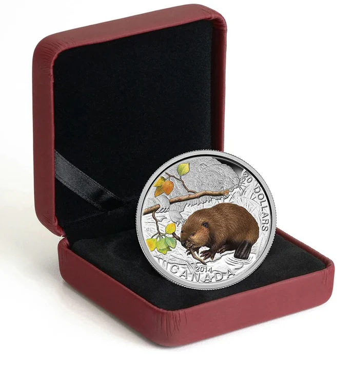 1 oz Baby Beaver Silver Coin - Image 3