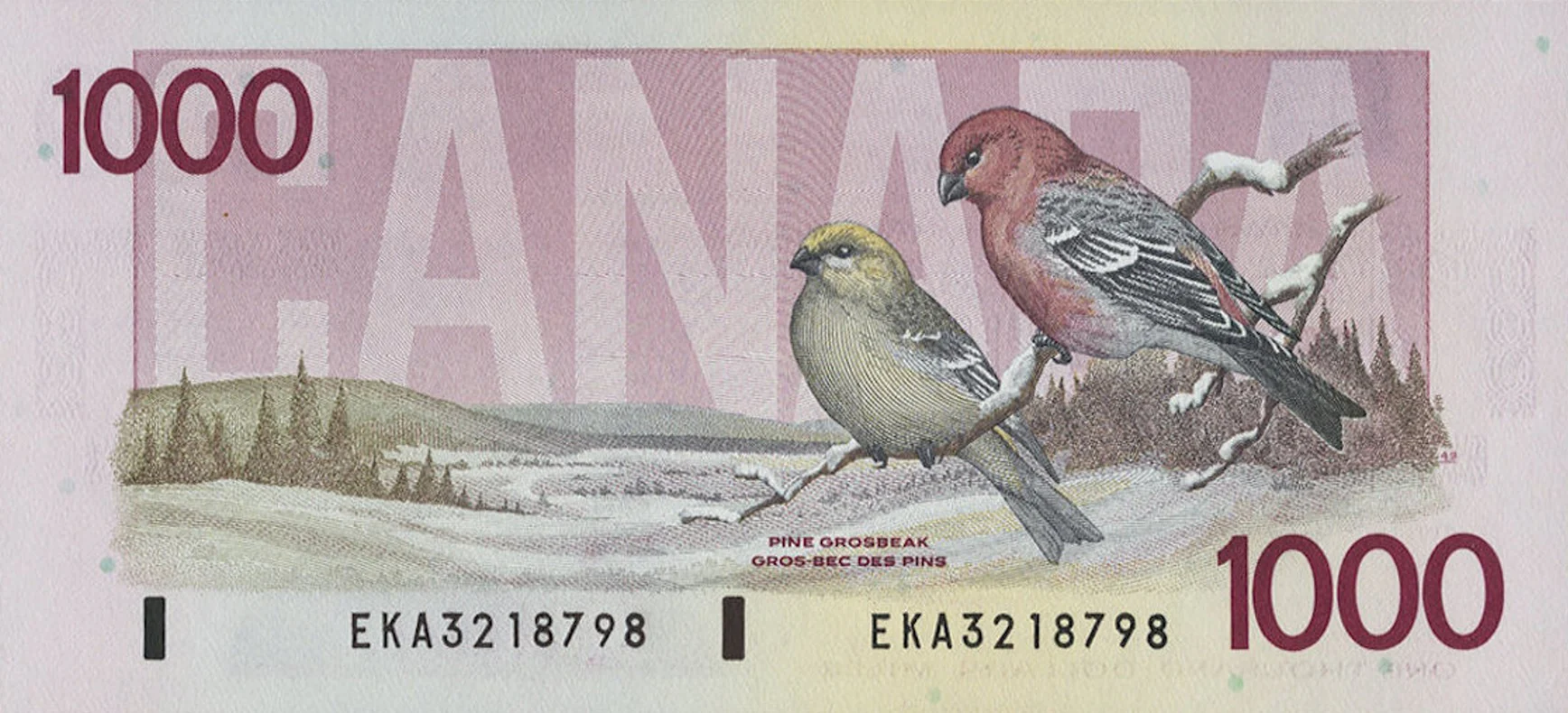 Canadian $1,000 Bill (Thiessen-Crow) - Image 3